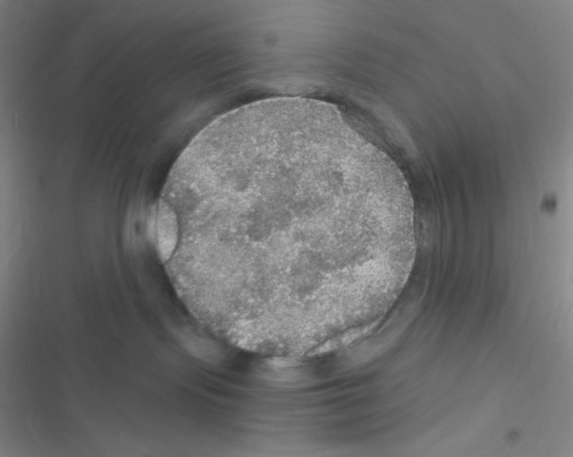 X0000116590095201001211335