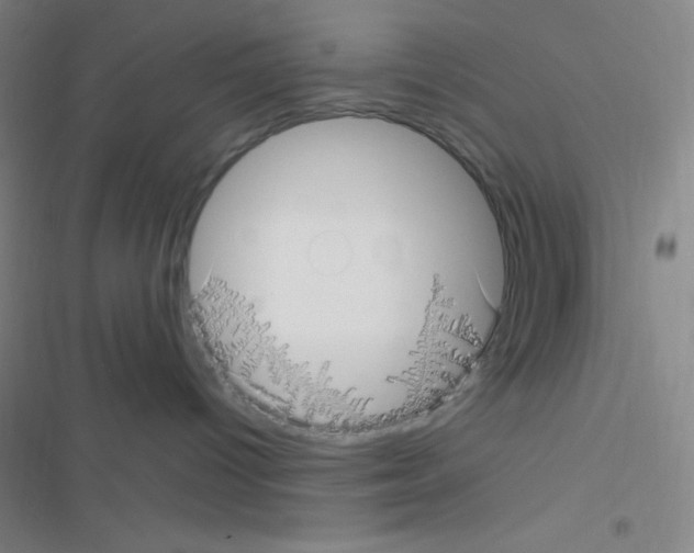 X0000116590096201001211335