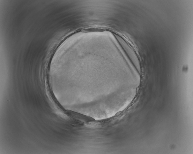 X0000116590097201001211334