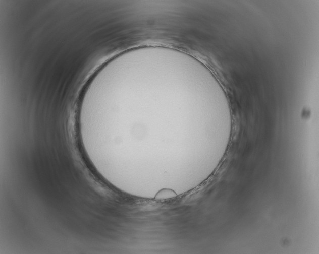 X0000116590098201001211334