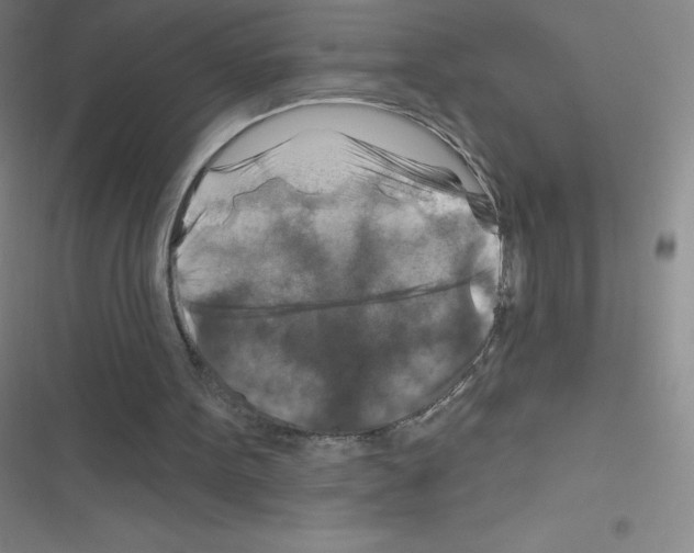 X0000116590099201001211334