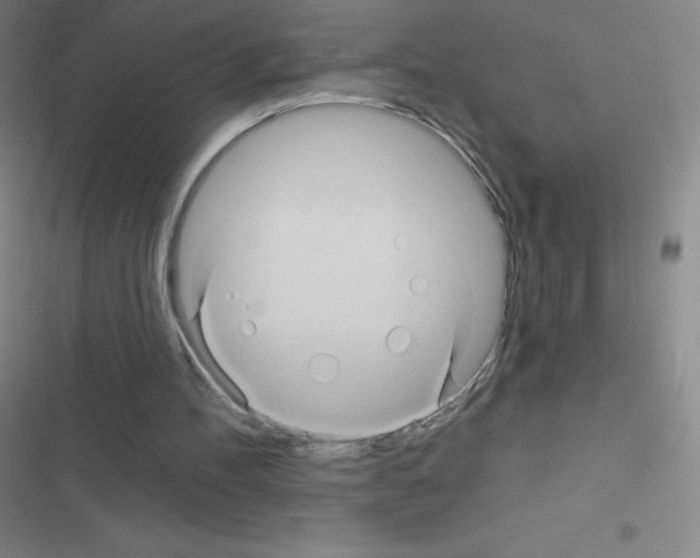 X0000116590100201001211334