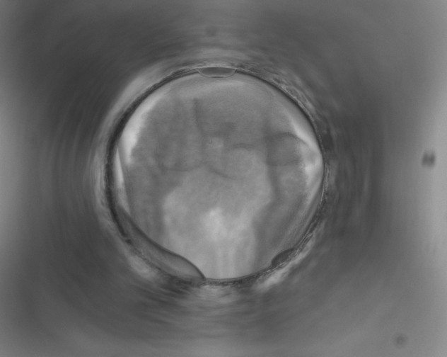 X0000116590101201001211334