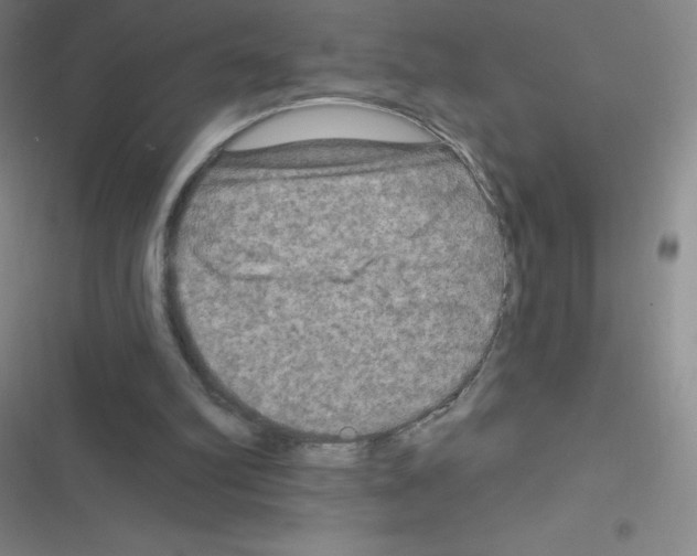 X0000116590102201001211334