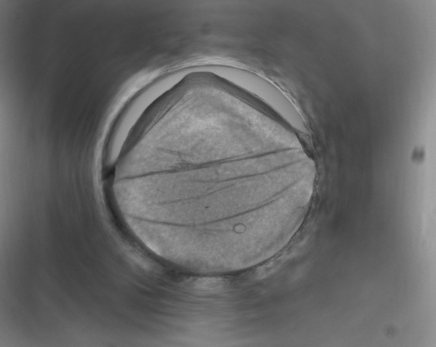 X0000116590104201001211334