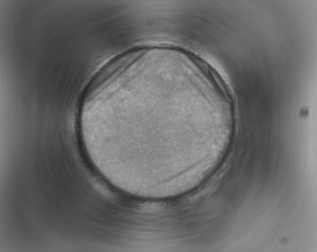 X0000116590105201001211334