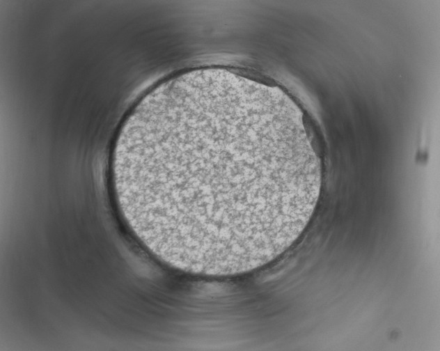 X0000116590107201001211334