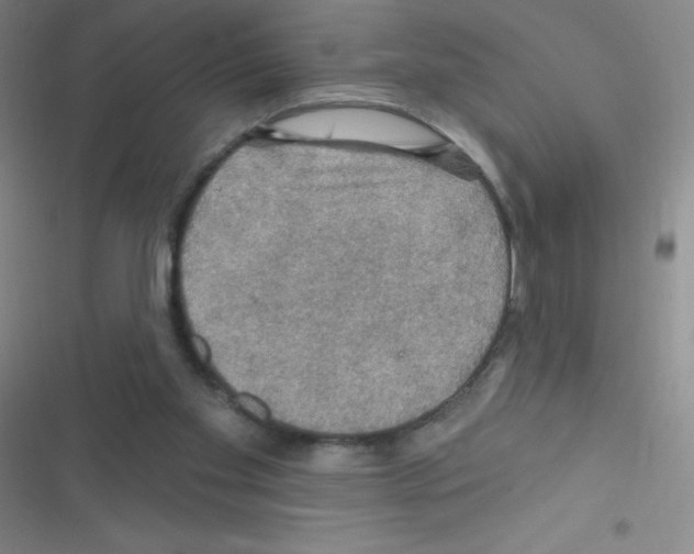 X0000116590109201001211334