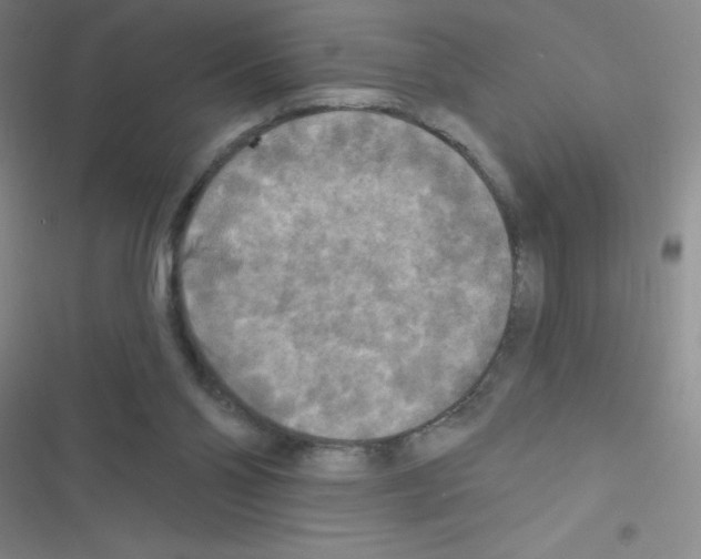 X0000116590110201001211334