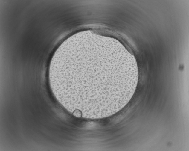 X0000116590111201001211334