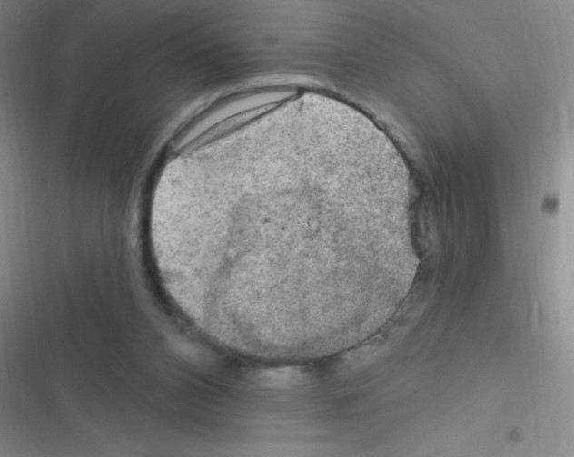 X0000116590112201001211334