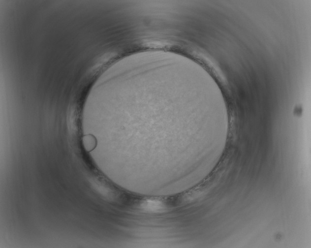 X0000116590114201001211334