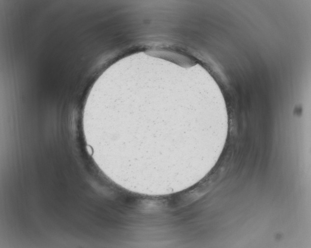 X0000116590115201001211334