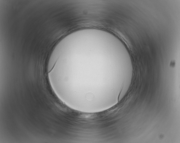 X0000116590117201001211334