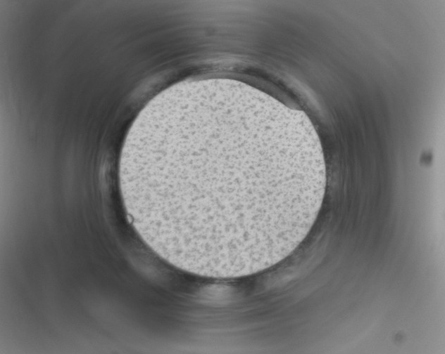 X0000116590119201001211334