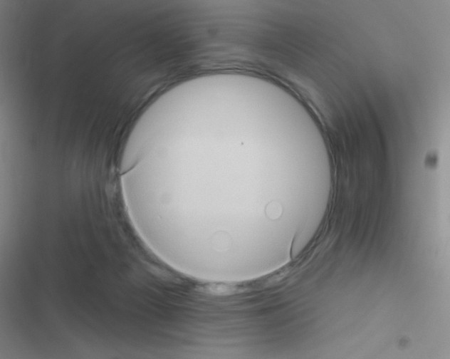 X0000116590121201001211334