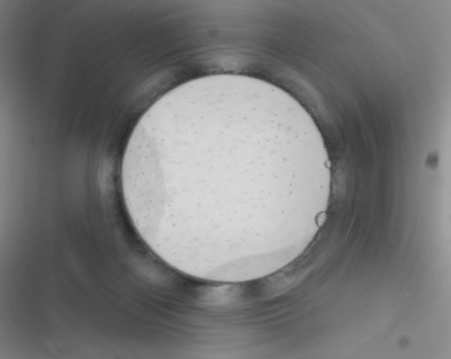 X0000116590122201001211334