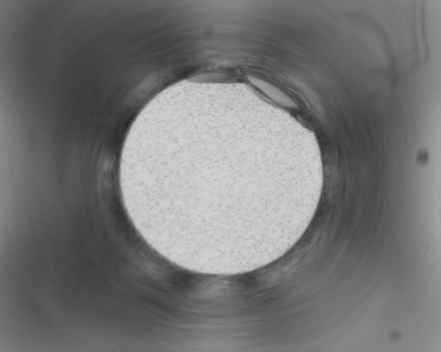 X0000116590123201001211334