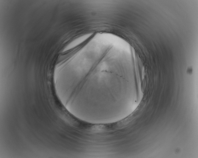 X0000116590124201001211334