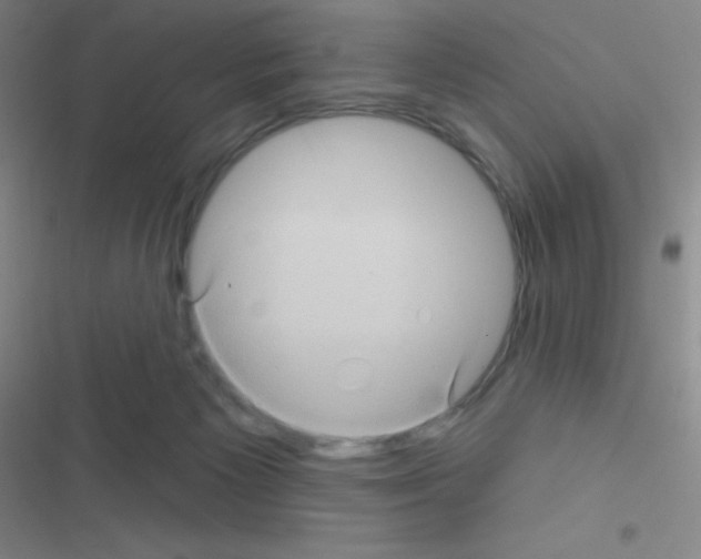 X0000116590125201001211334