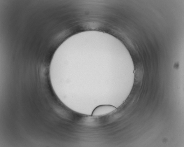 X0000116590126201001211334