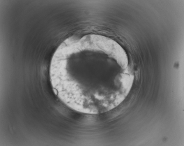 X0000116590127201001211334