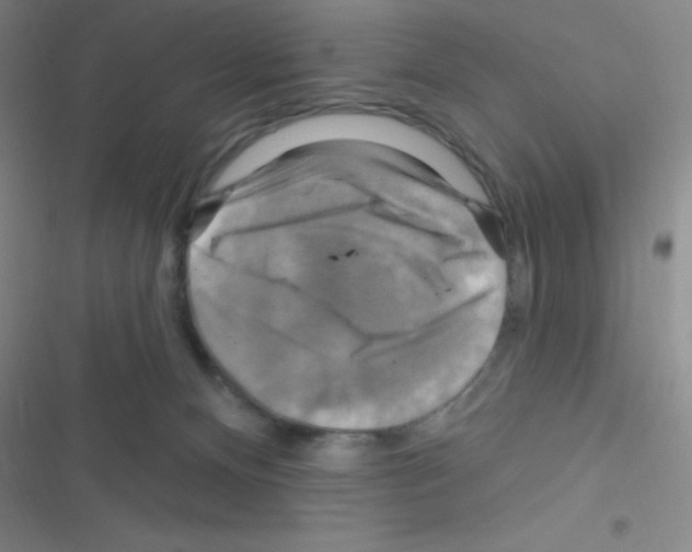 X0000116590128201001211334