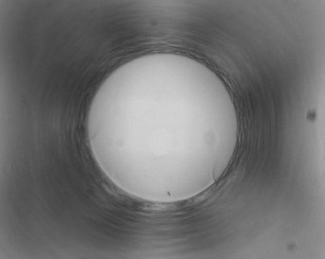 X0000116590129201001211334