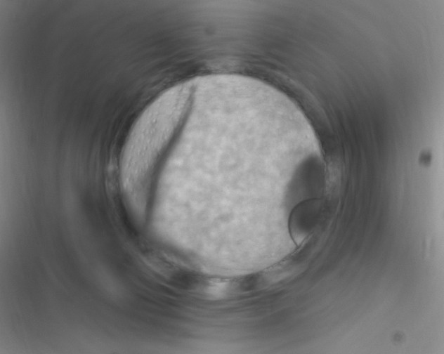 X0000116590130201001211334