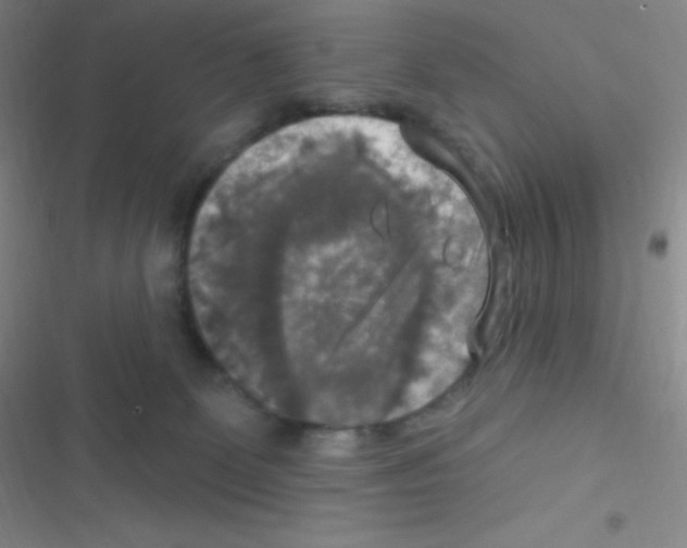 X0000116590131201001211334