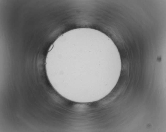 X0000116590133201001211334