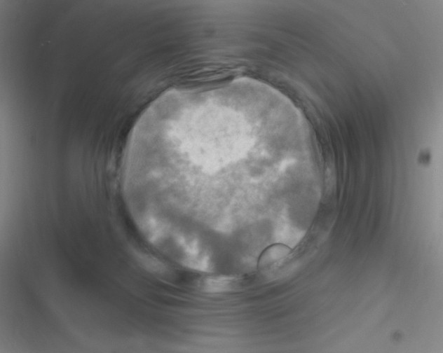 X0000116590134201001211334