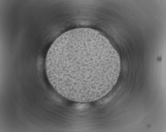 X0000116590135201001211334