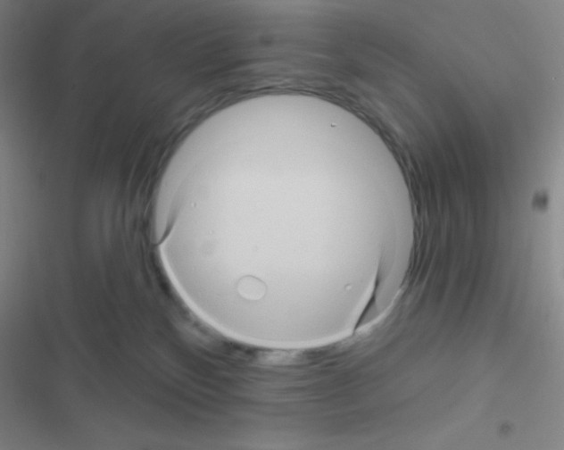 X0000116590136201001211334