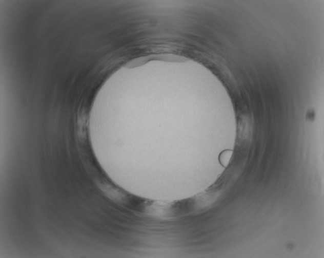 X0000116590138201001211334