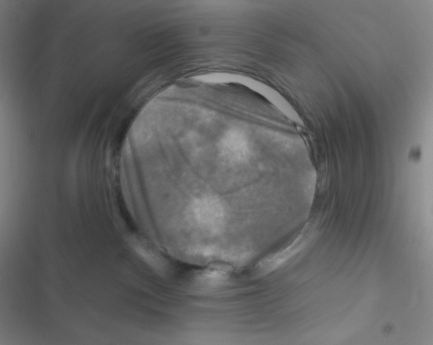 X0000116590140201001211334