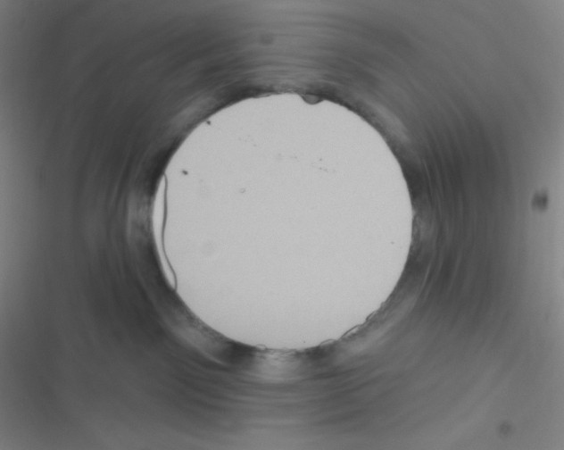 X0000116590141201001211334