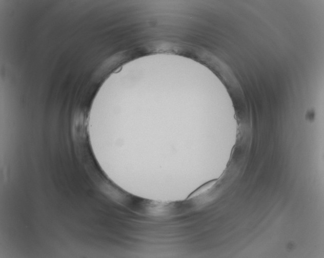 X0000116590142201001211334