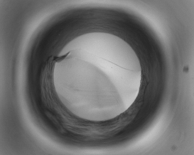 X0000116590143201001211334