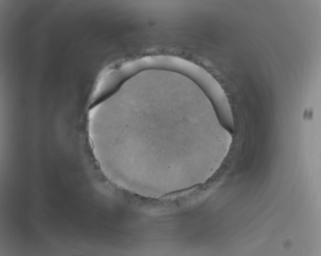 X0000116590144201001211334