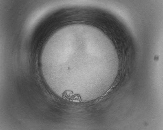 X0000116590146201001211333