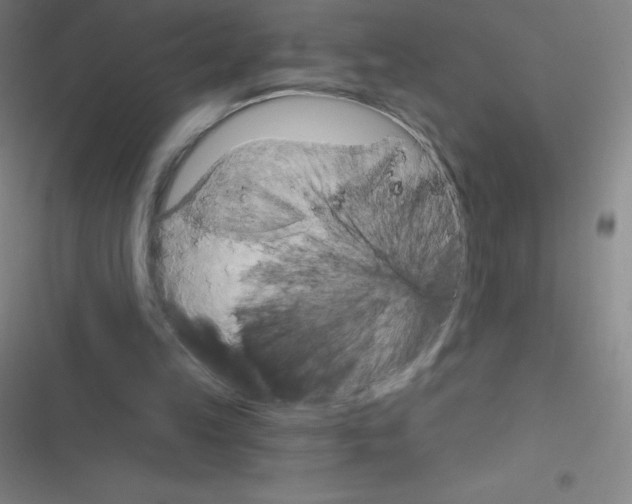 X0000116590149201001211333