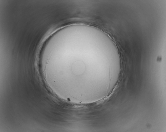 X0000116590150201001211333