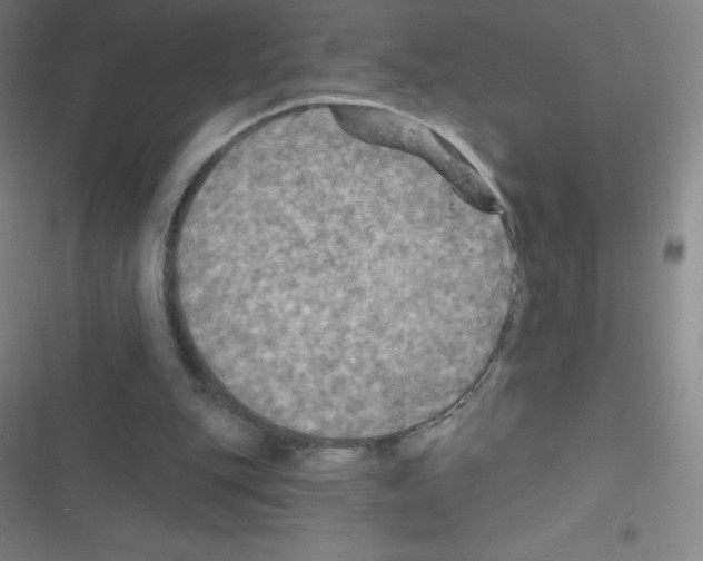 X0000116590151201001211333