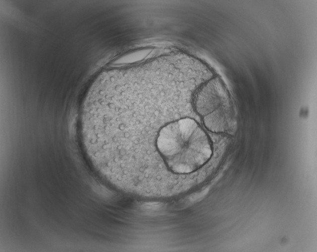 X0000116590153201001211333