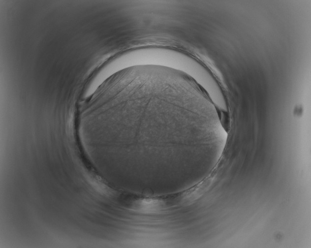 X0000116590154201001211333