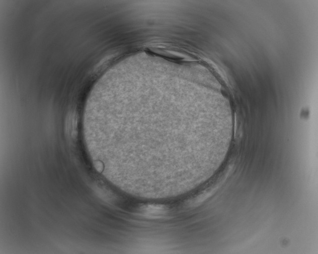 X0000116590157201001211333