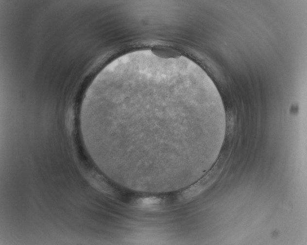 X0000116590158201001211333