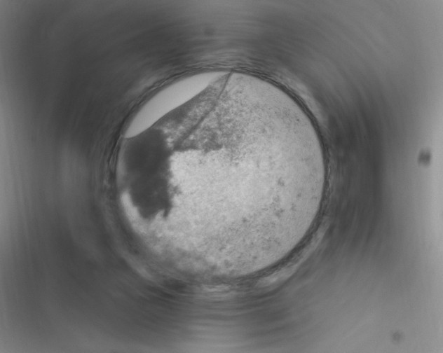 X0000116590161201001211333