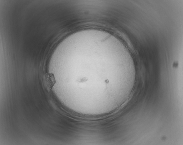 X0000116590162201001211333